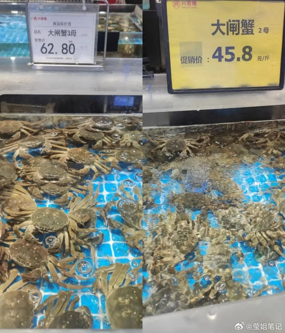 大闸蟹价格暴跌超40%今年的大闸蟹行情，直接走出了冰火两重天。高淳普通母蟹五六元