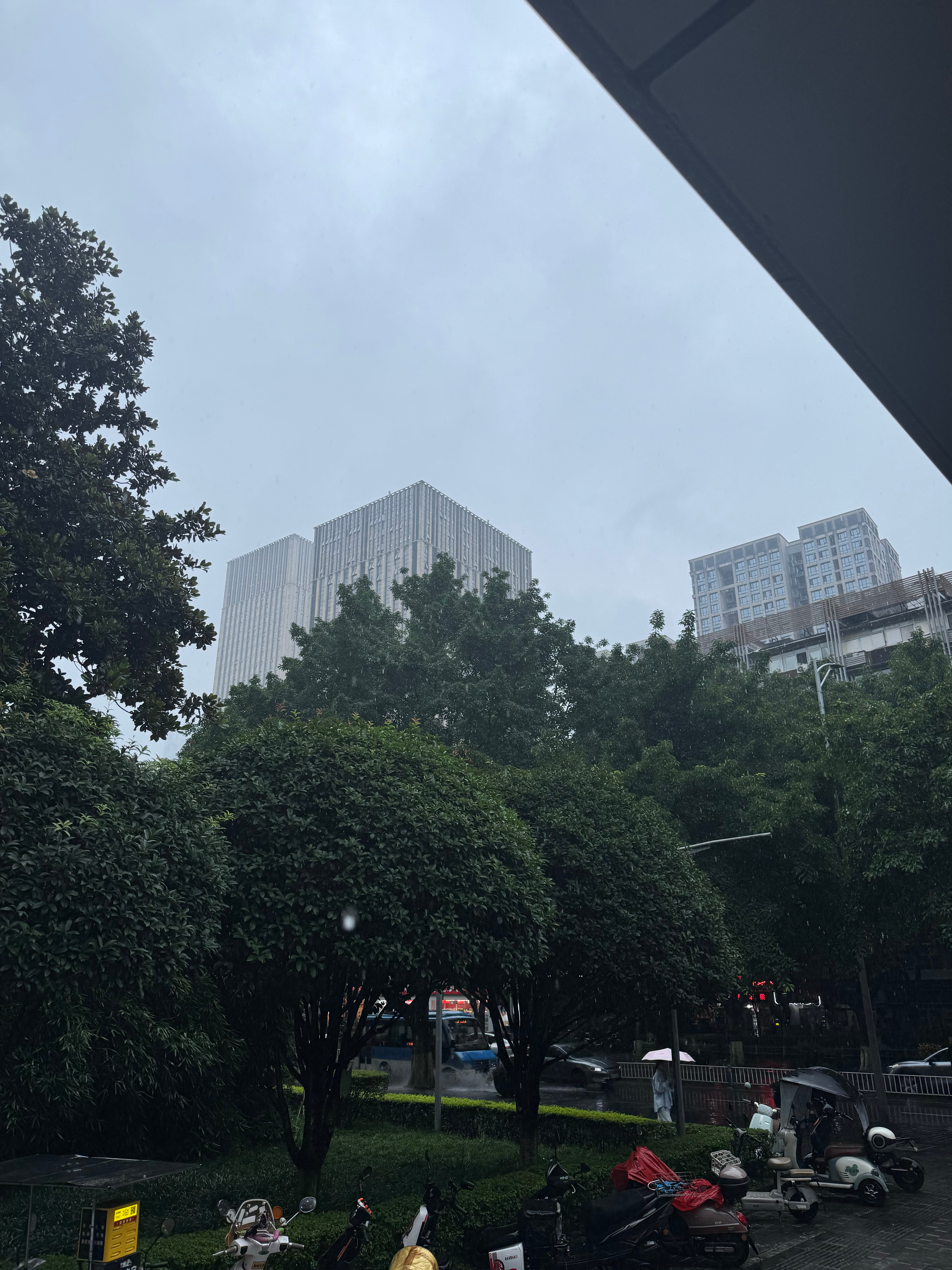 重庆今日雨好大⛈️ 重庆