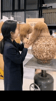 为什么🤔