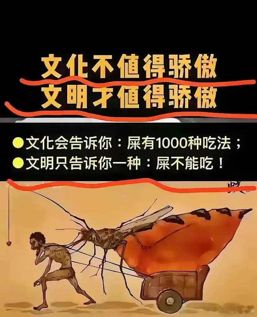文化就是告诉你屎有千种吃法；文明就是告诉你屎不能吃！把文化当文明，不知伤害了多少