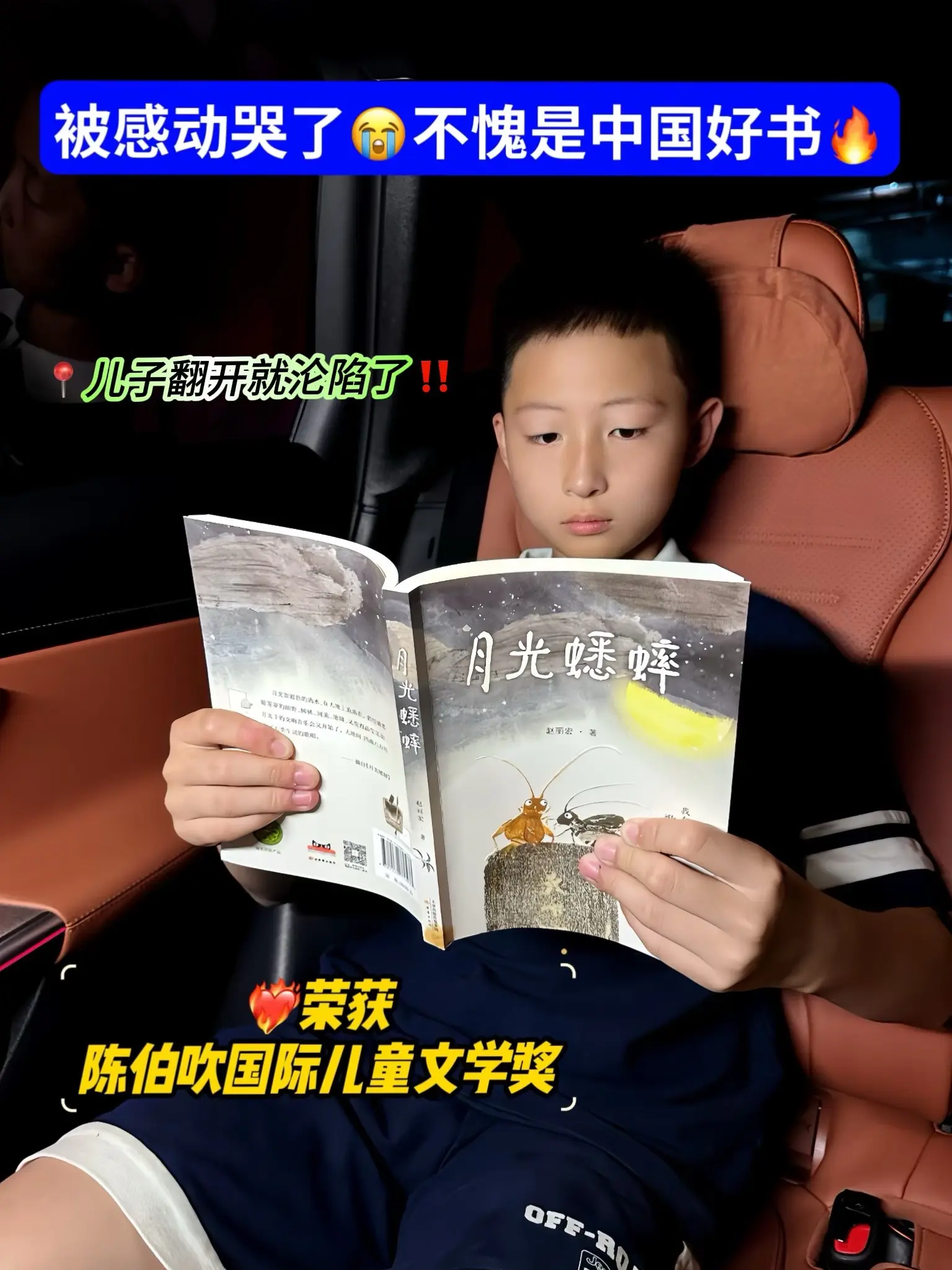 救命🆘赵丽宏老师真的太会写了👍。📖不愧曾获得中国好书、文津图书奖...