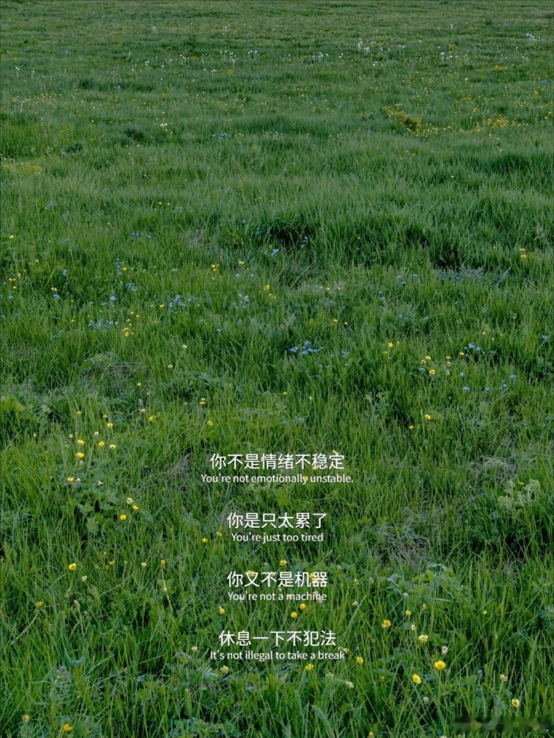 这段话真的太通透了。 ​​​