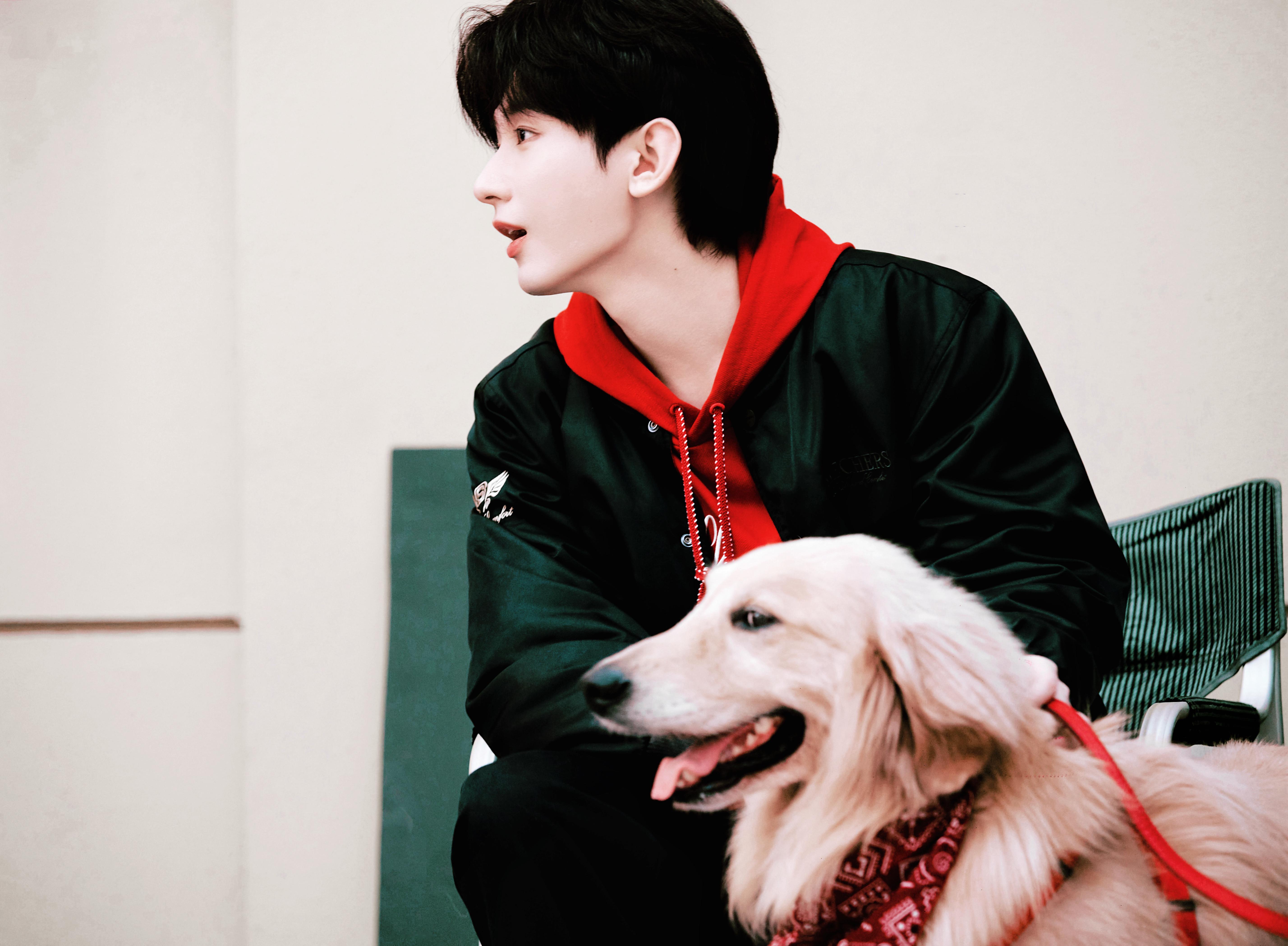 🧨除夕快乐！🧨🧨新年快乐！🧨成毅  | 2026与成毅共赴新章