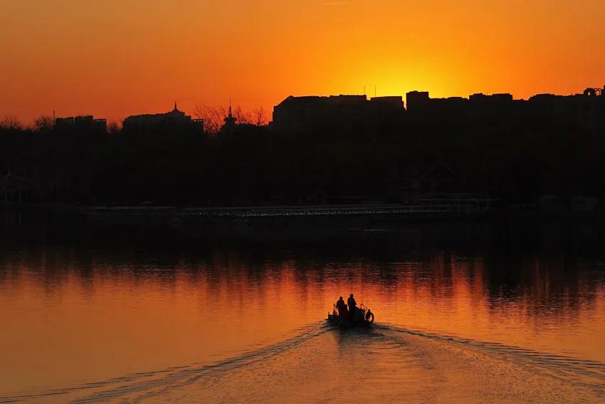 金色的清晨
图文原创 生态鸟类瞬间 清晨拍朝阳