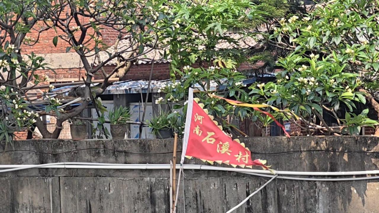 晒图笔记大赛石溪村钓鱼台