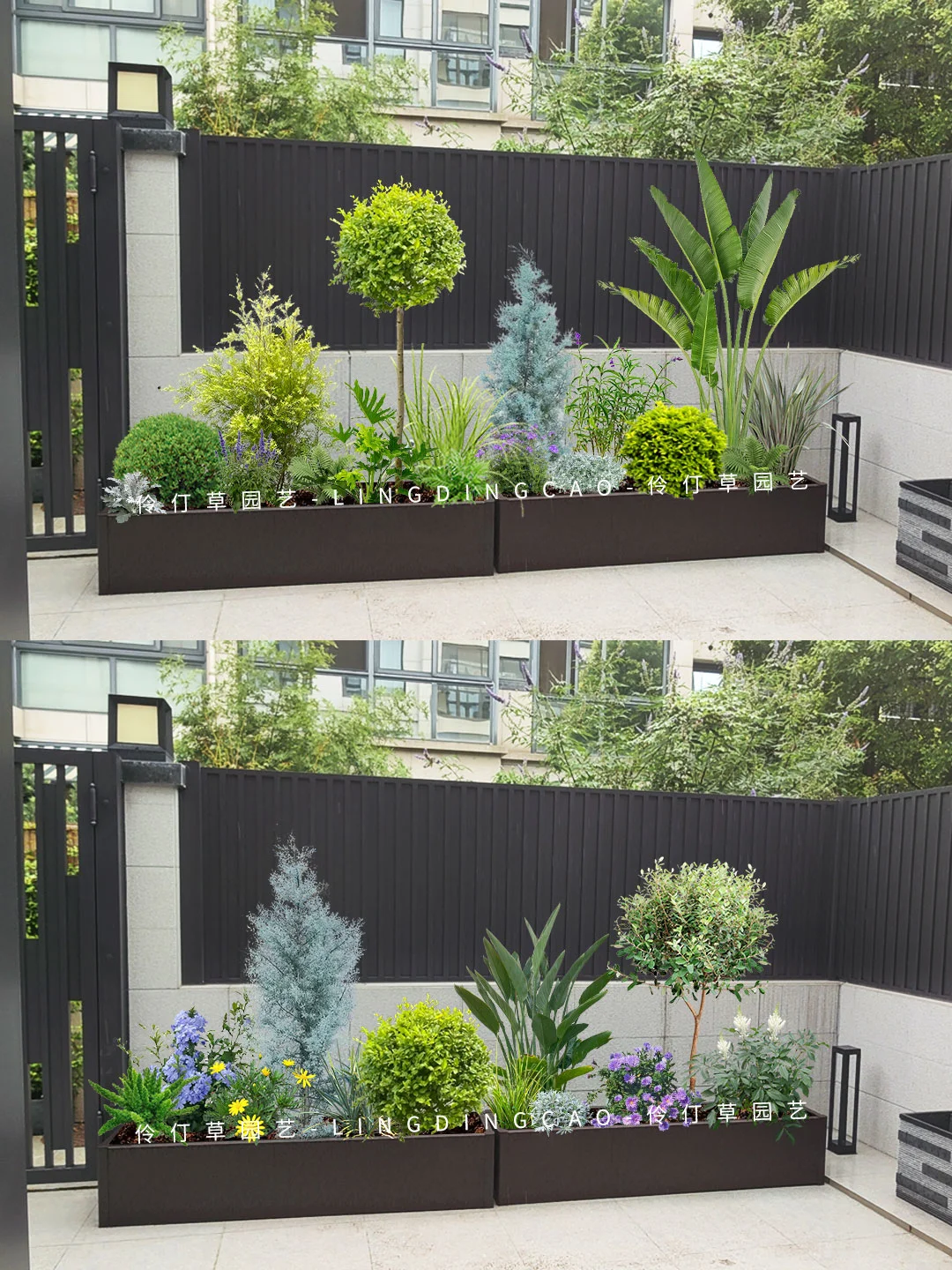 江浙沪庭院花箱植物搭配案例✨秋冬高颜值