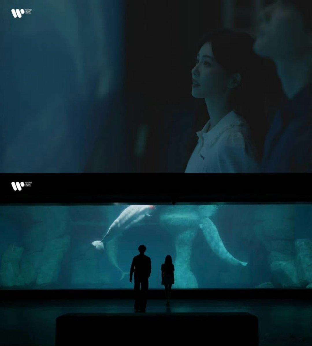 白鹿让周翊然原谅现偶白鹿周翊然合作新歌《透明爱人》mv，“感谢周老板，快原谅现偶