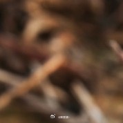 种植 1300棉花完整种植技术一、种植时间地表5cm土层温度稳定≥15℃播种👉