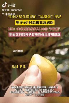 “胆子不是一般的大！”9月17日浙江，一男子路过小区绿化带时，发现地上有很多果实