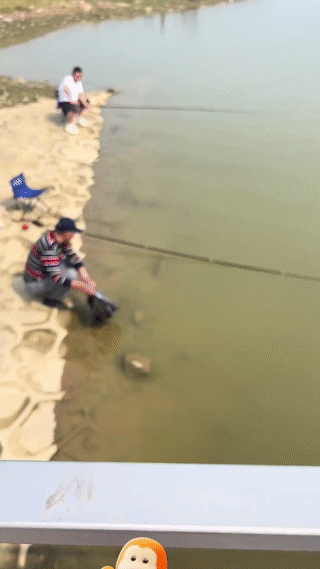 这位大叔坐在河边半天都没有钓到鱼？
正在他发愁该怎么办的时候。
一条大鱼突然游到