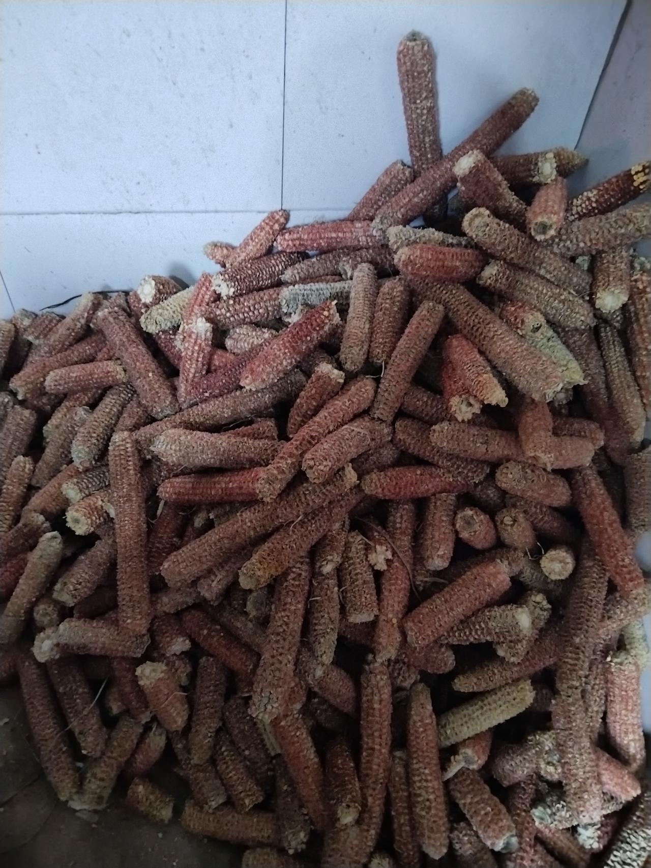 其实，幸福不仅仅是春日的高山，或是牡丹的庄园，更是那平常的点滴，比如在灶台烧锅的