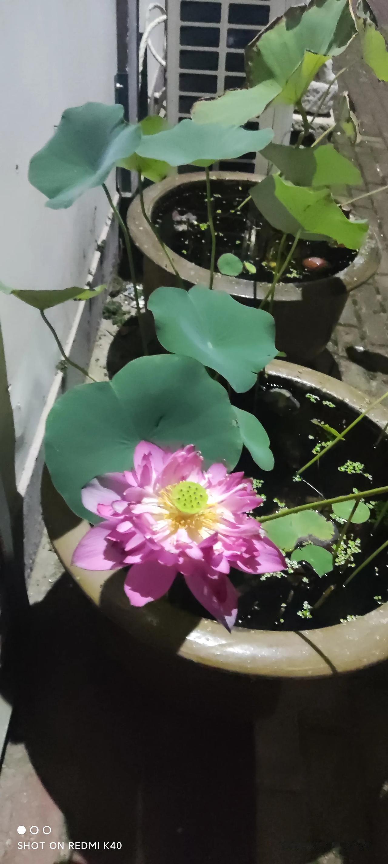 你，永远是我的诗行。。。。
#寻找热爱表达的你#

《爱你，永远是我的诗章》
 