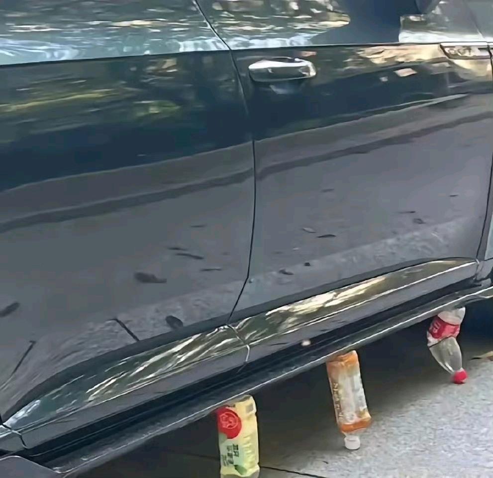 小区里看到的！这是有啥说法吗 