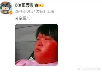 有没有一种可能，今年BLG、AL、TES、IG包揽四强，然后Bin大哥带领BLG
