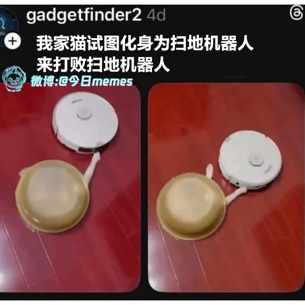 敌我同源（gadgetfinder2）今日meme[超话] 今日memes ​​