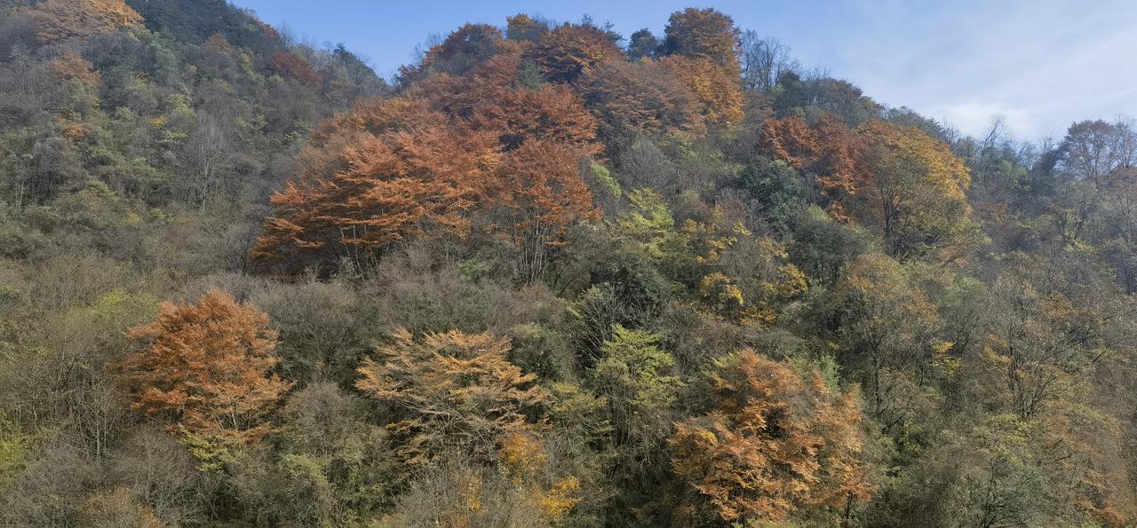 有随手拍的好看的风景照吗留坝.营盘