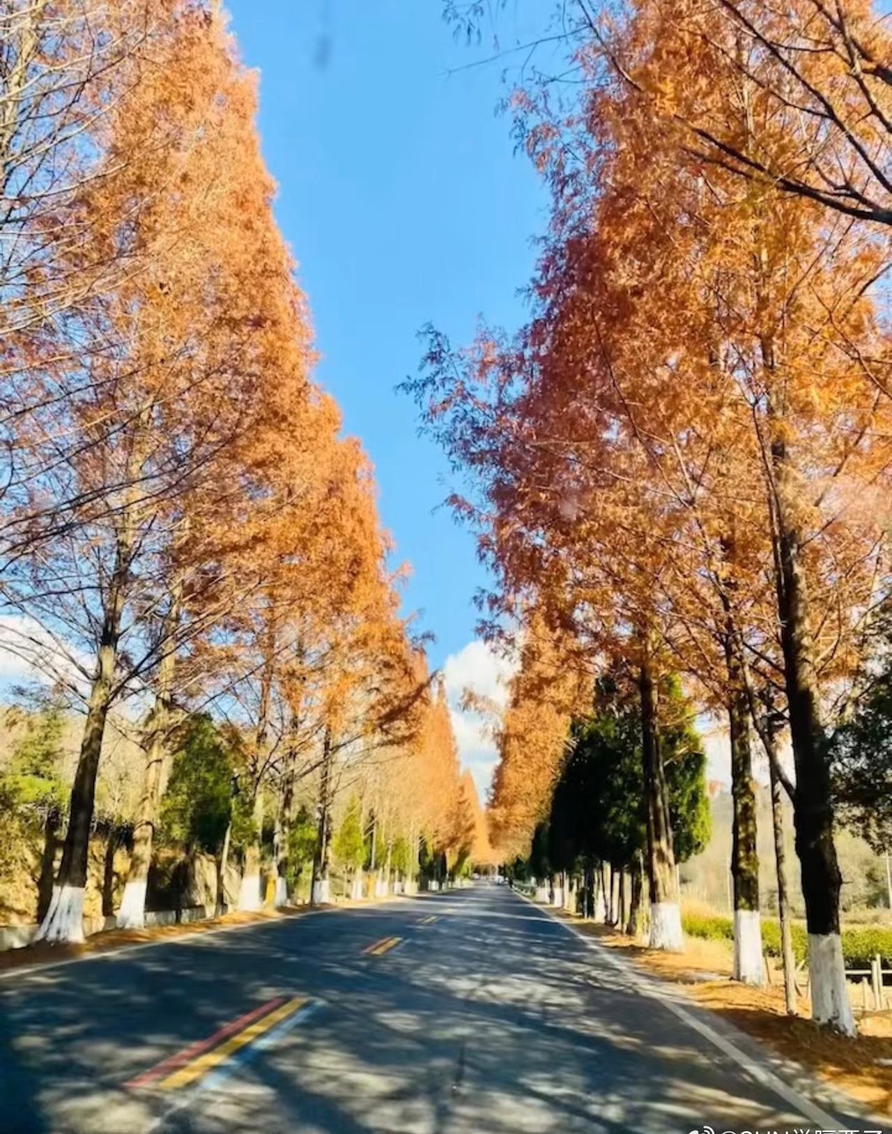 人需要出去走走，把自己抛出去，感受大自然的馈赠 ​​​