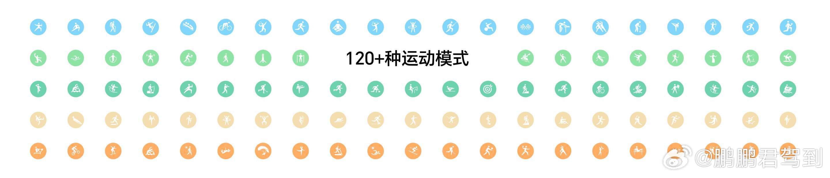 荣耀手表6Plus  支持全流程专业科学运动体系，覆盖120+运动模式。联合北京