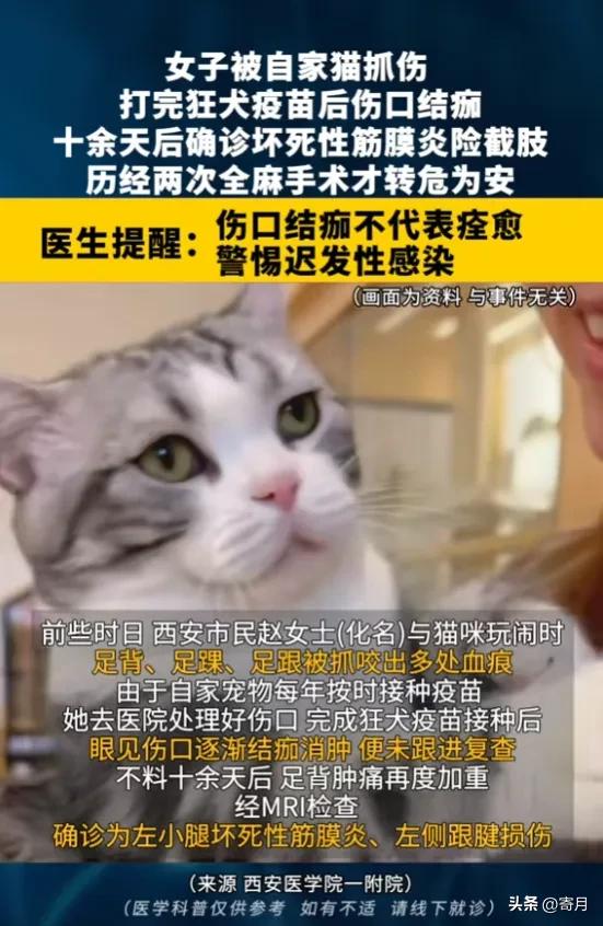 悲剧还是发生了！“8月12日报道，陕西西安，一女子被自家猫抓伤，她打完狂犬疫苗后
