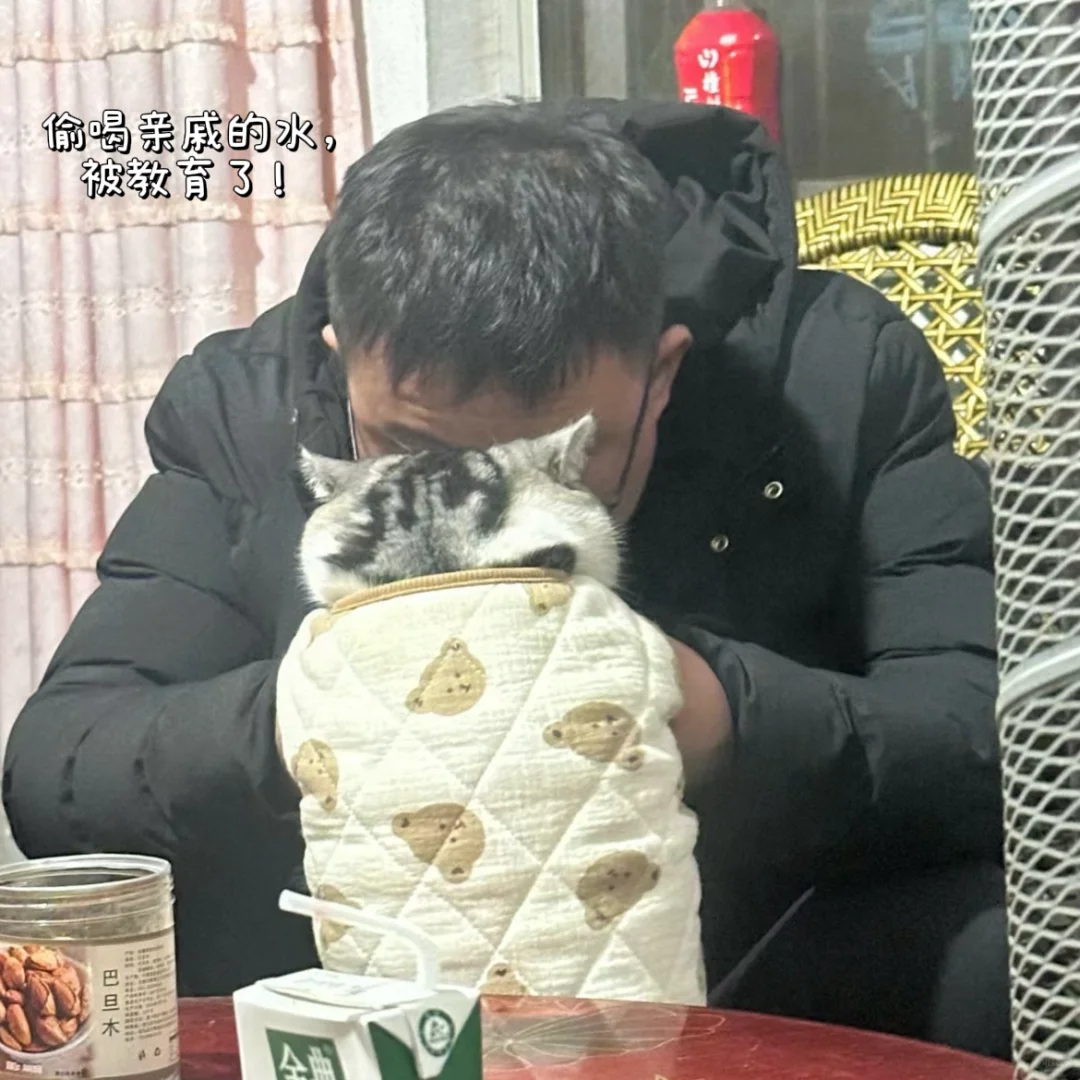 我爹说我的猫和我一样懒！