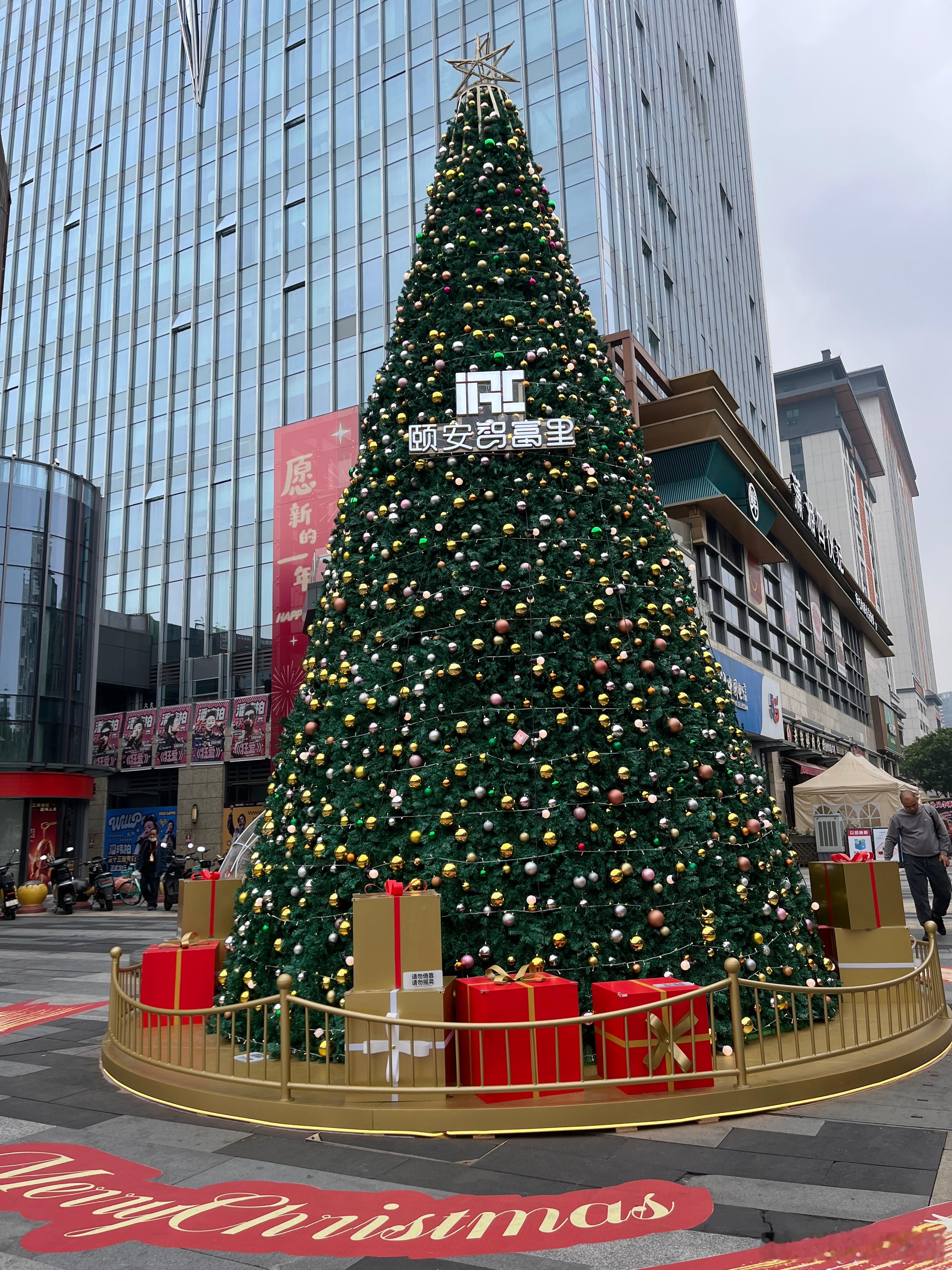 我们是来龙岗这边的医院看，吃完饭，看到圣诞树，好漂亮，我们那边商场好像没看到装扮
