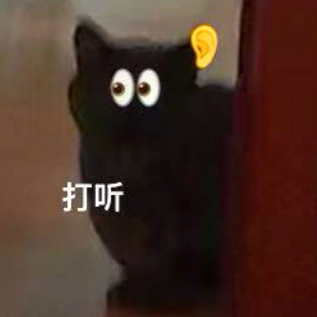 第一批买iphoneduo的人后悔了吗快告诉我你买到iPhone Duo 了么？