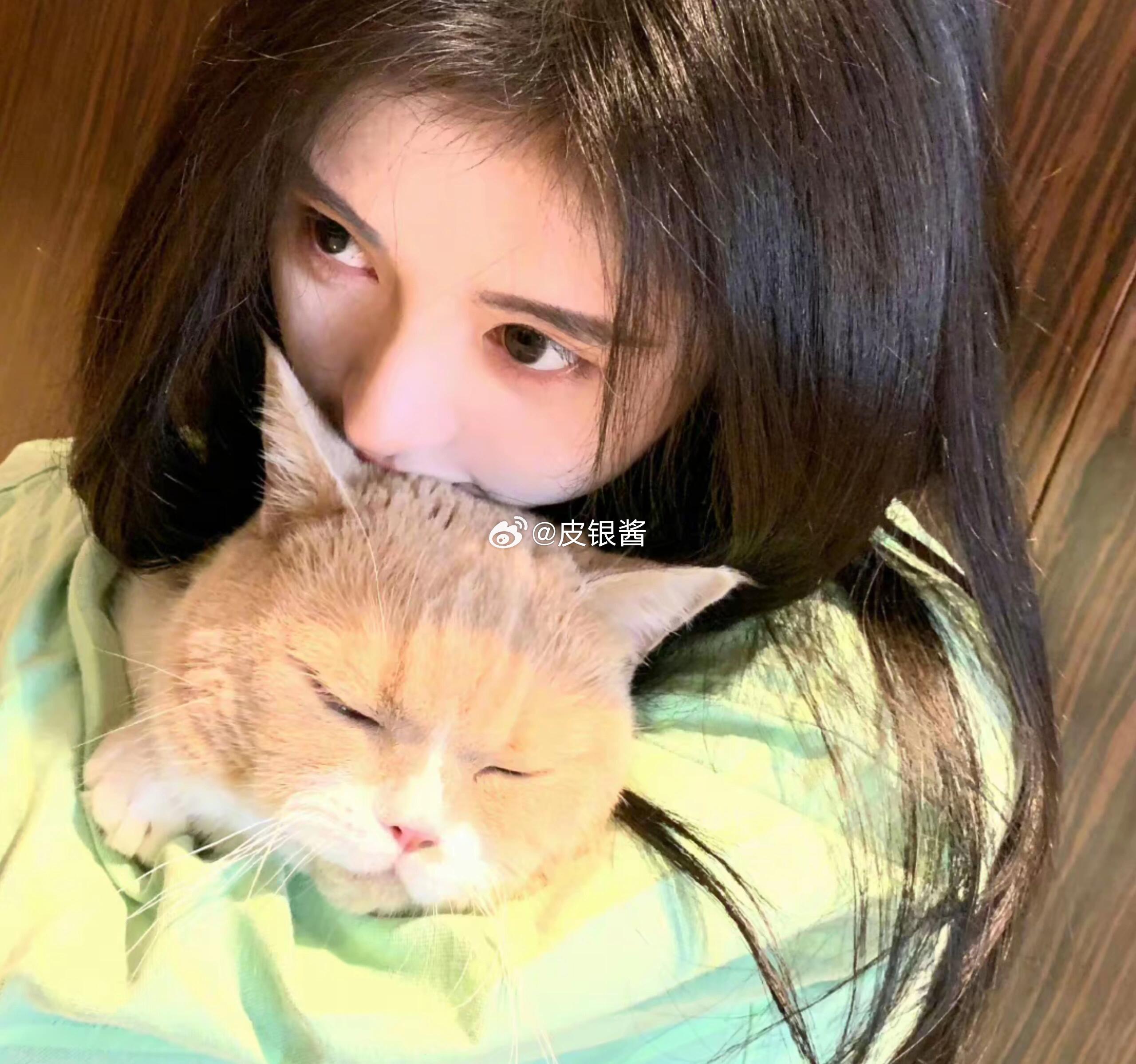 鞠婧祎鞠婧祎的猫也有番位 “猫咪拥有番位”这个独特的设定直接出圈，打破了大家对于
