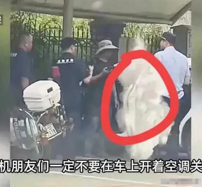 5月15日，广东湛江发生了一起令人痛心的事件。一位网约车司机在给车充电时，因开着