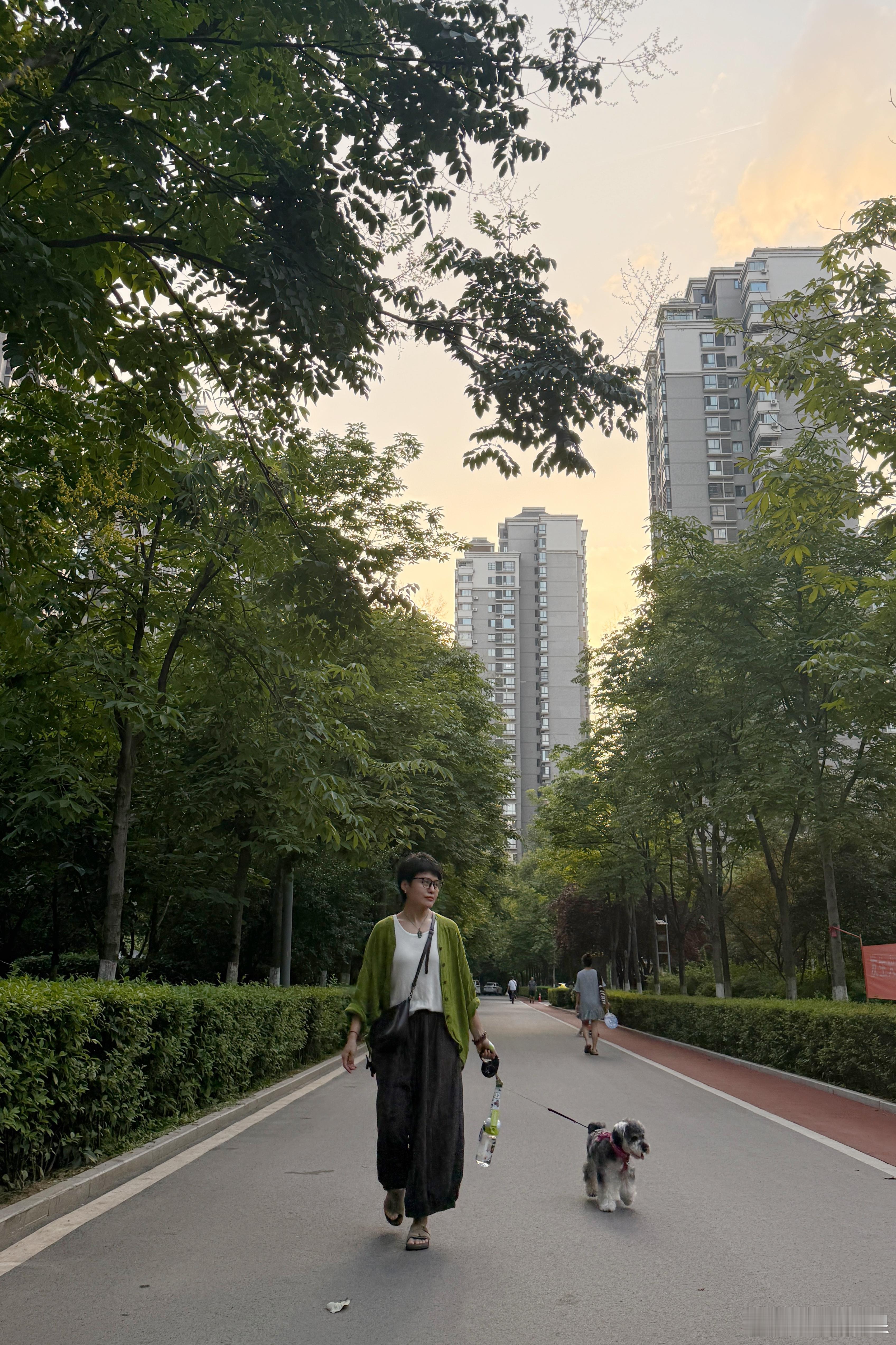 秋老虎来了，这几天好热，只能傍晚遛弯。娃拍照是真拍的好，把我拍的很高，队友拍就是