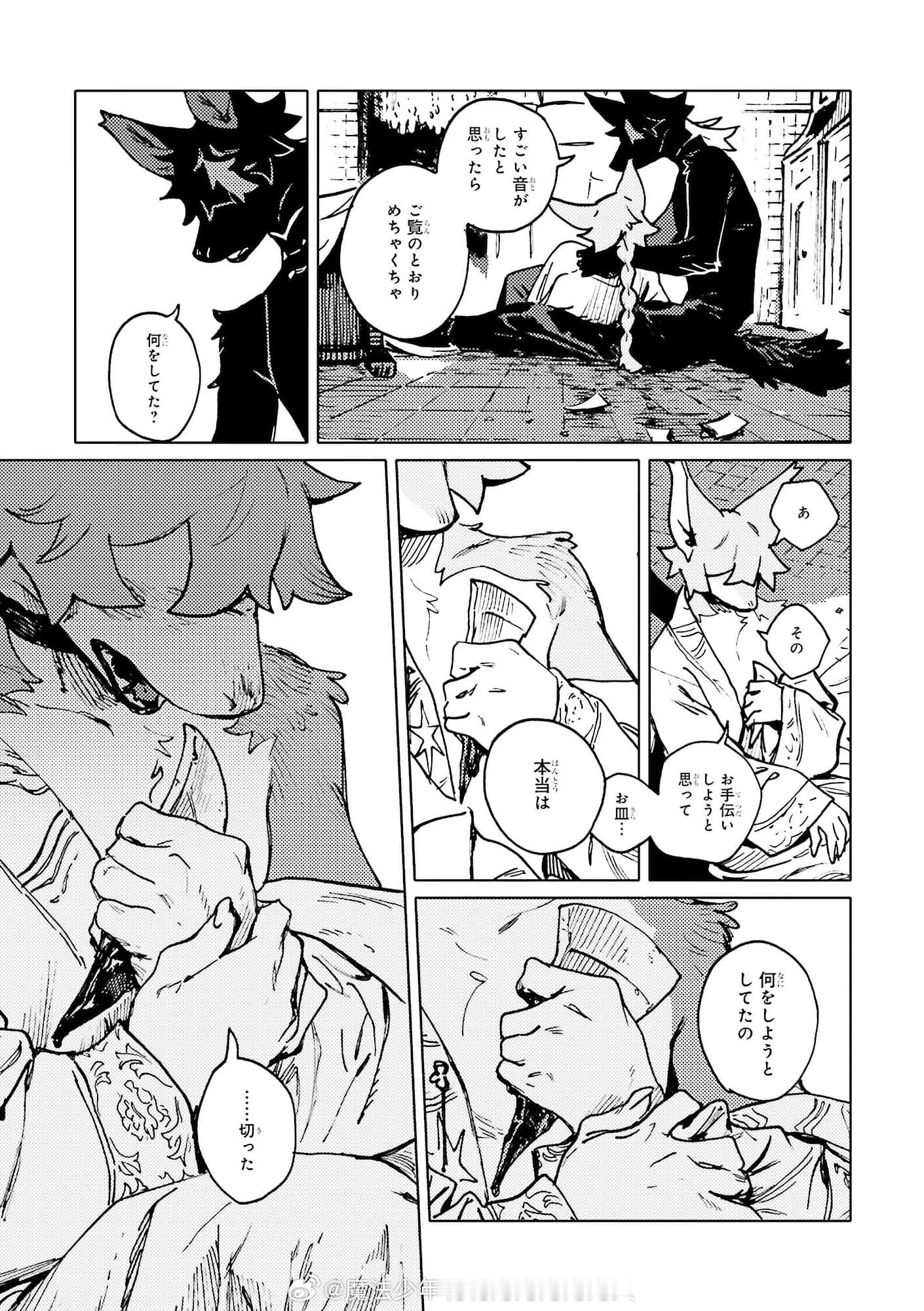 狐狼 