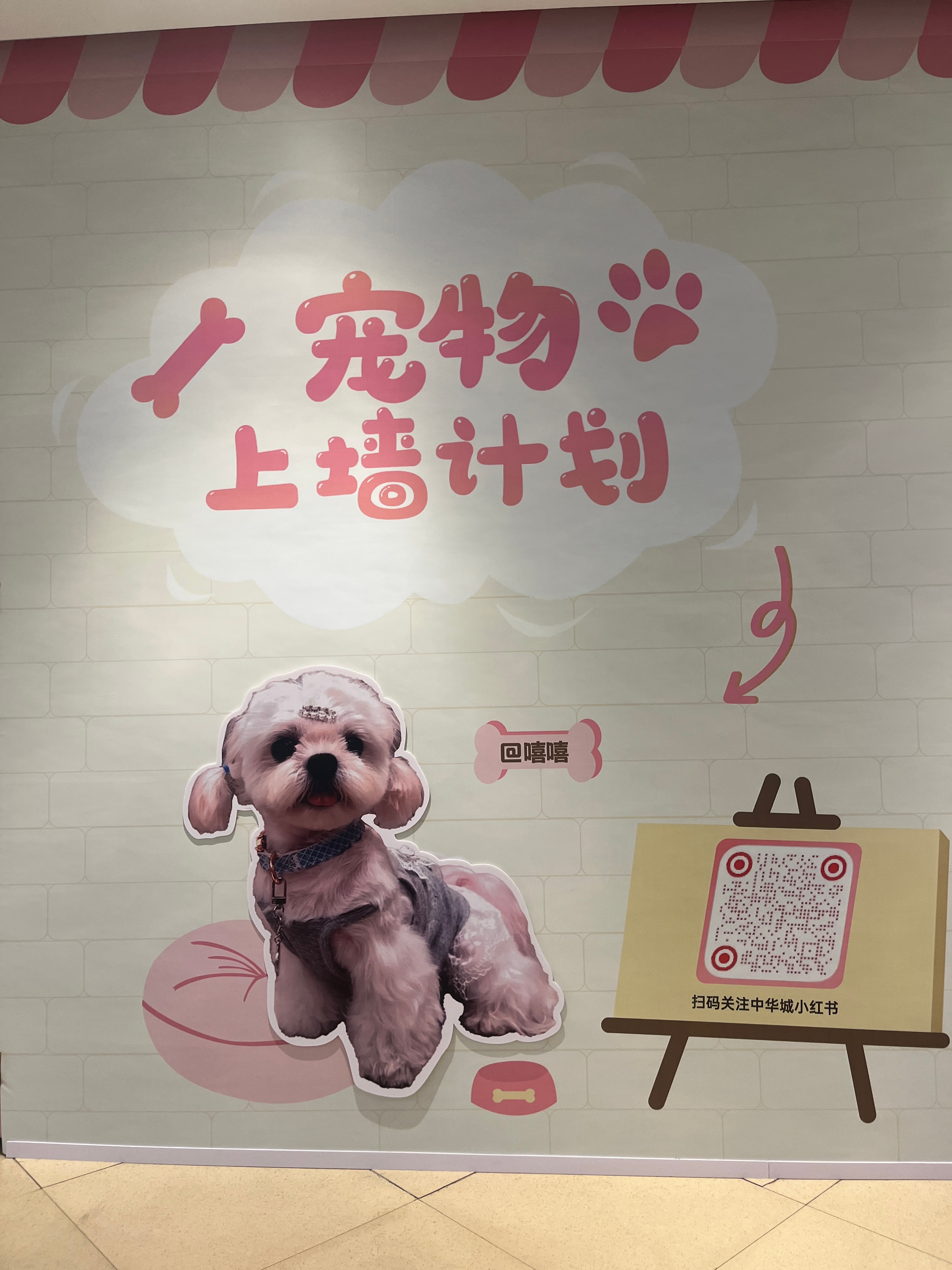 嘻嘻怎么变成狗了（） 