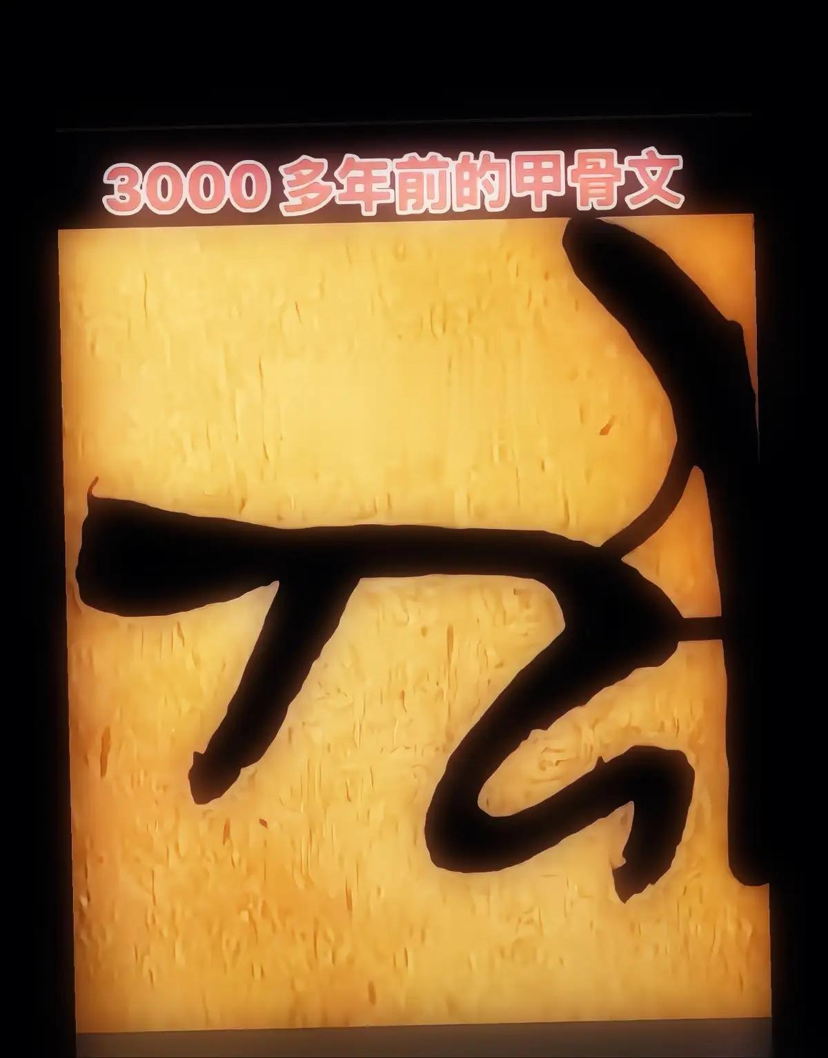 看，这是3000多年前的甲骨文！这到底是个什么字呢？