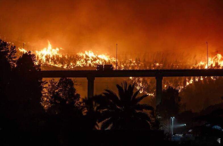 智利山林大火造成21人死亡 当局抓获一名纵火嫌犯海外新鲜事 智利政府21日表示，