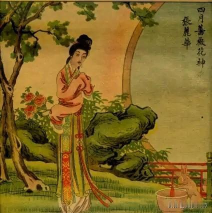 张丽华出身织席寒门，十岁入宫侍奉太子陈叔宝，生得容貌绝美，发长七尺，又聪慧过人。