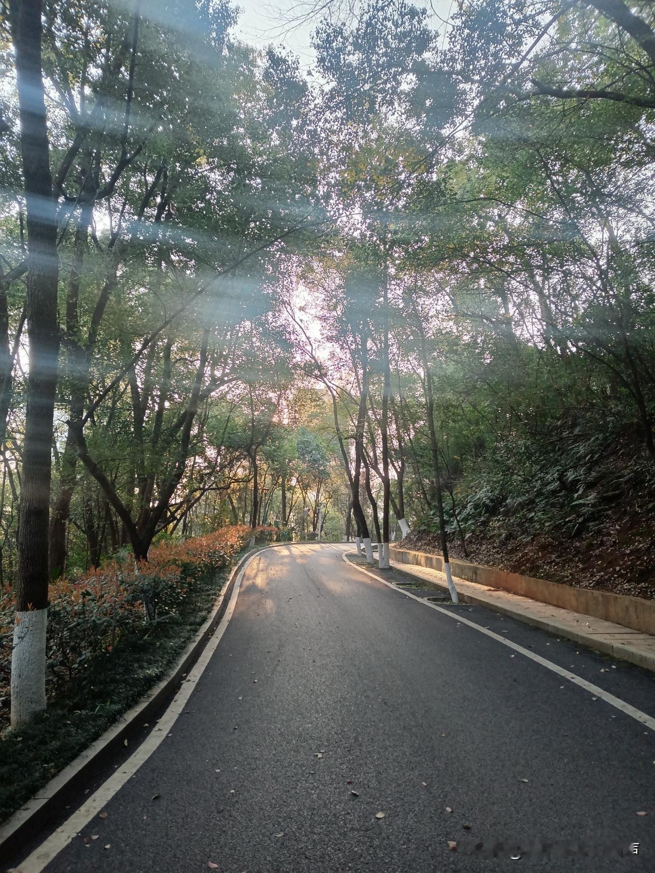 这不是玄学，炒股靠投机取巧大多是走不远的！

不知道股民经历过没有？凡是炒股靠运