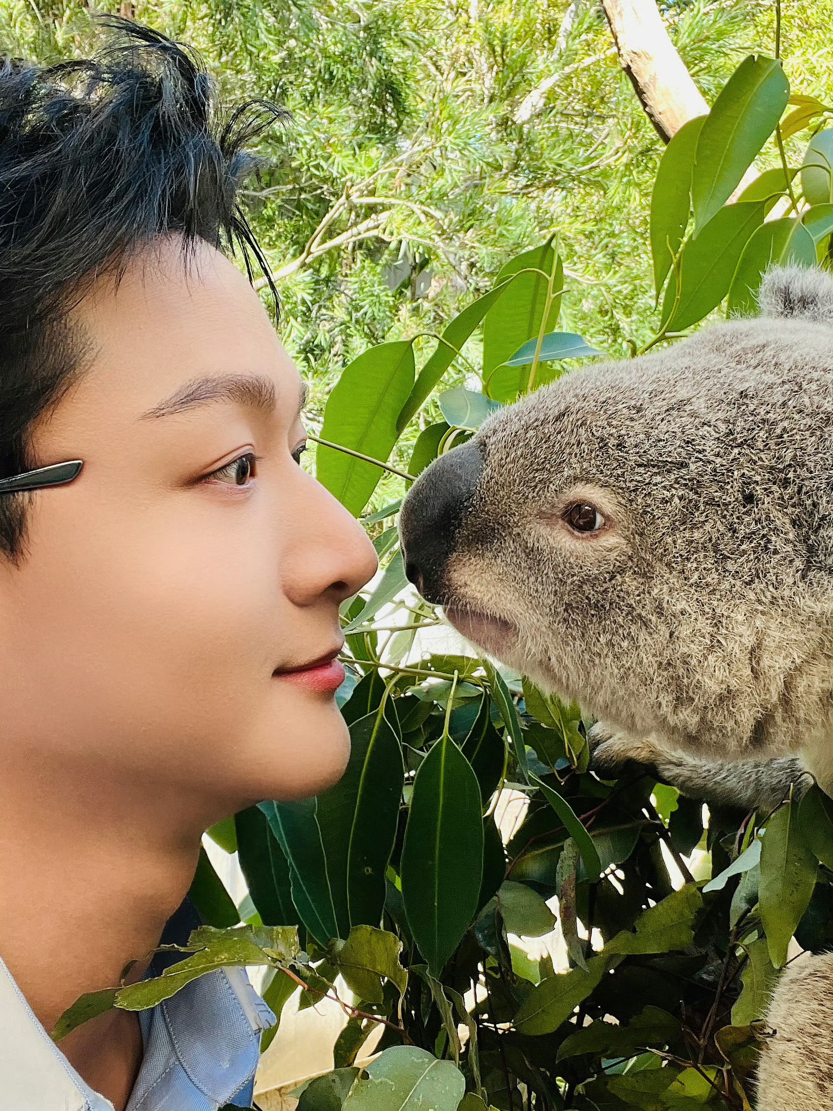 张晚意向全世界安利张晚意冬日暖阳 