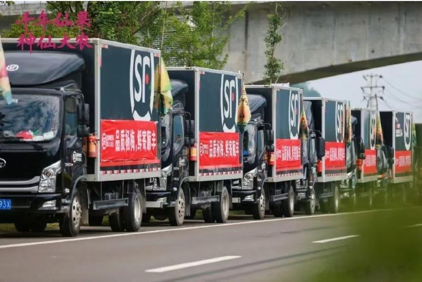 浙江好杨梅好梅知多少从肩挑山路到冷链直达，一颗杨梅见证乡村产业蜕变。今天看了潮新