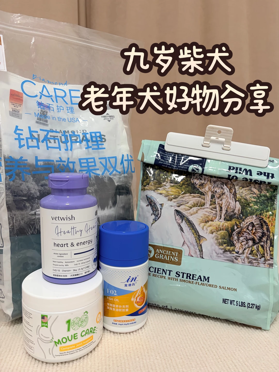 九岁柴犬的长期主义｜老年犬好物分享📝