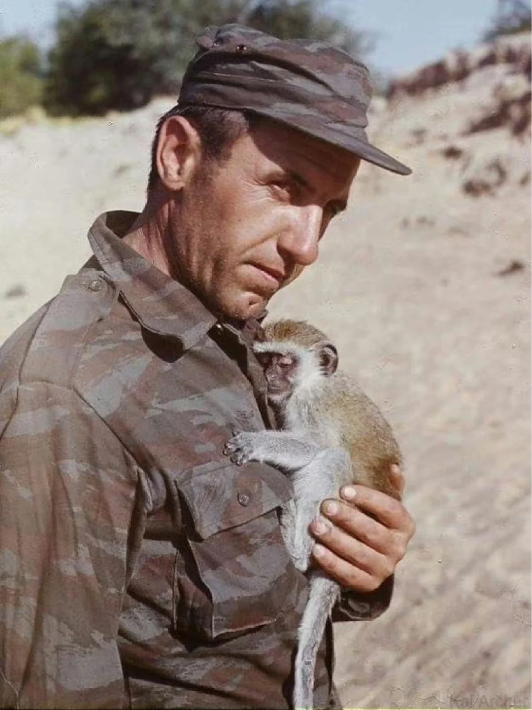 1982年，苏军中校奥列斯特 · 科尔古特和他的宠物猴在安哥拉，苏联深...