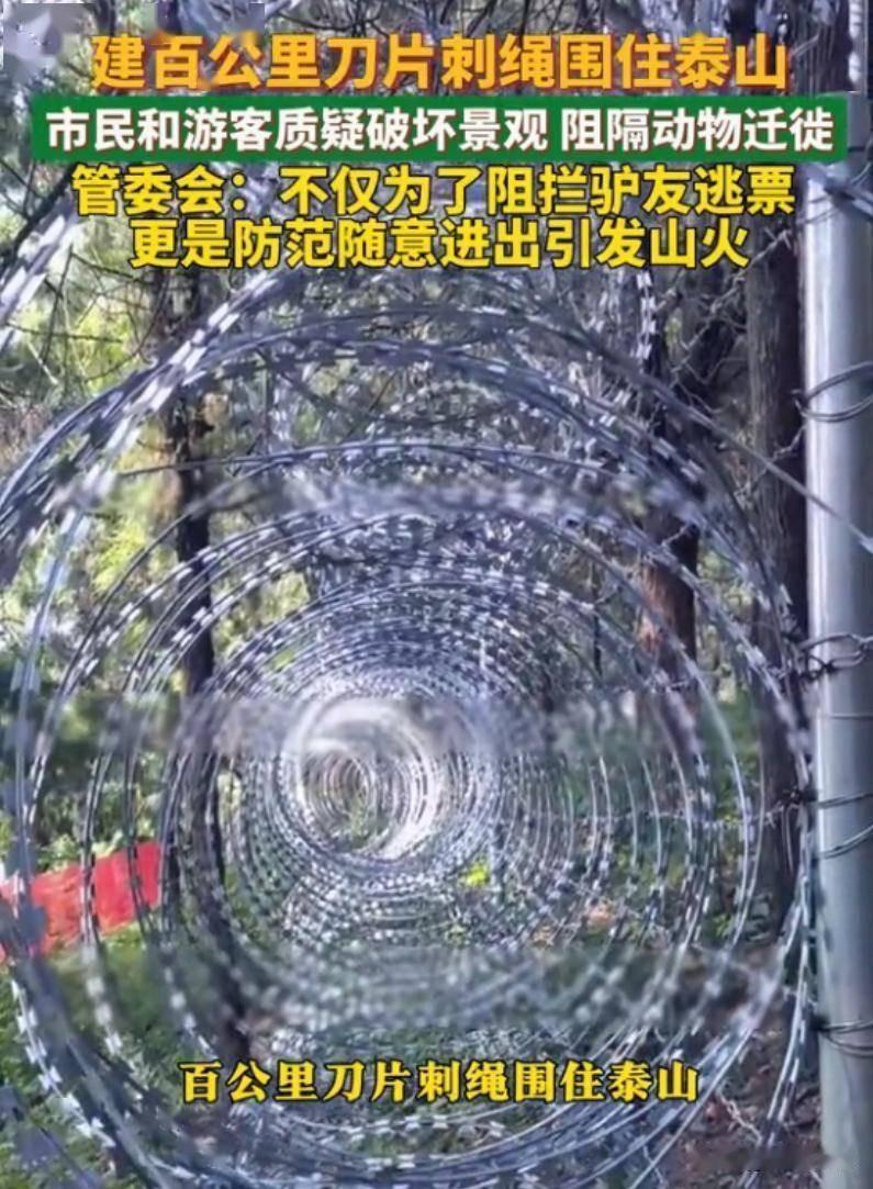 135公里刀片铁丝网围泰山，看完心里堵得慌！不舒服的根源其实就这几点

最近泰山