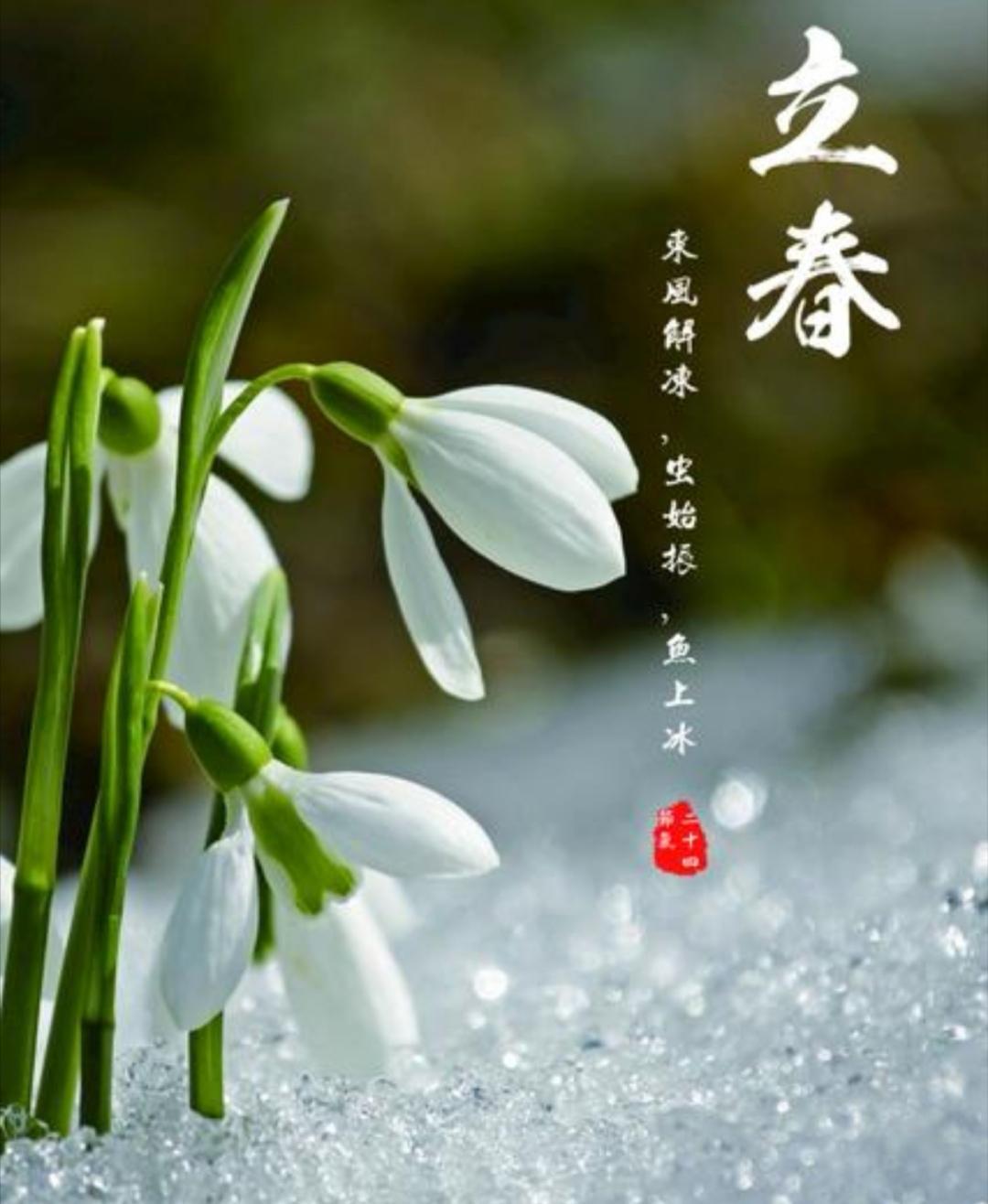 世界上没有任何一个民族，能像中国人一样，用如此丰富绚烂的词句表达感受，被写进诗里