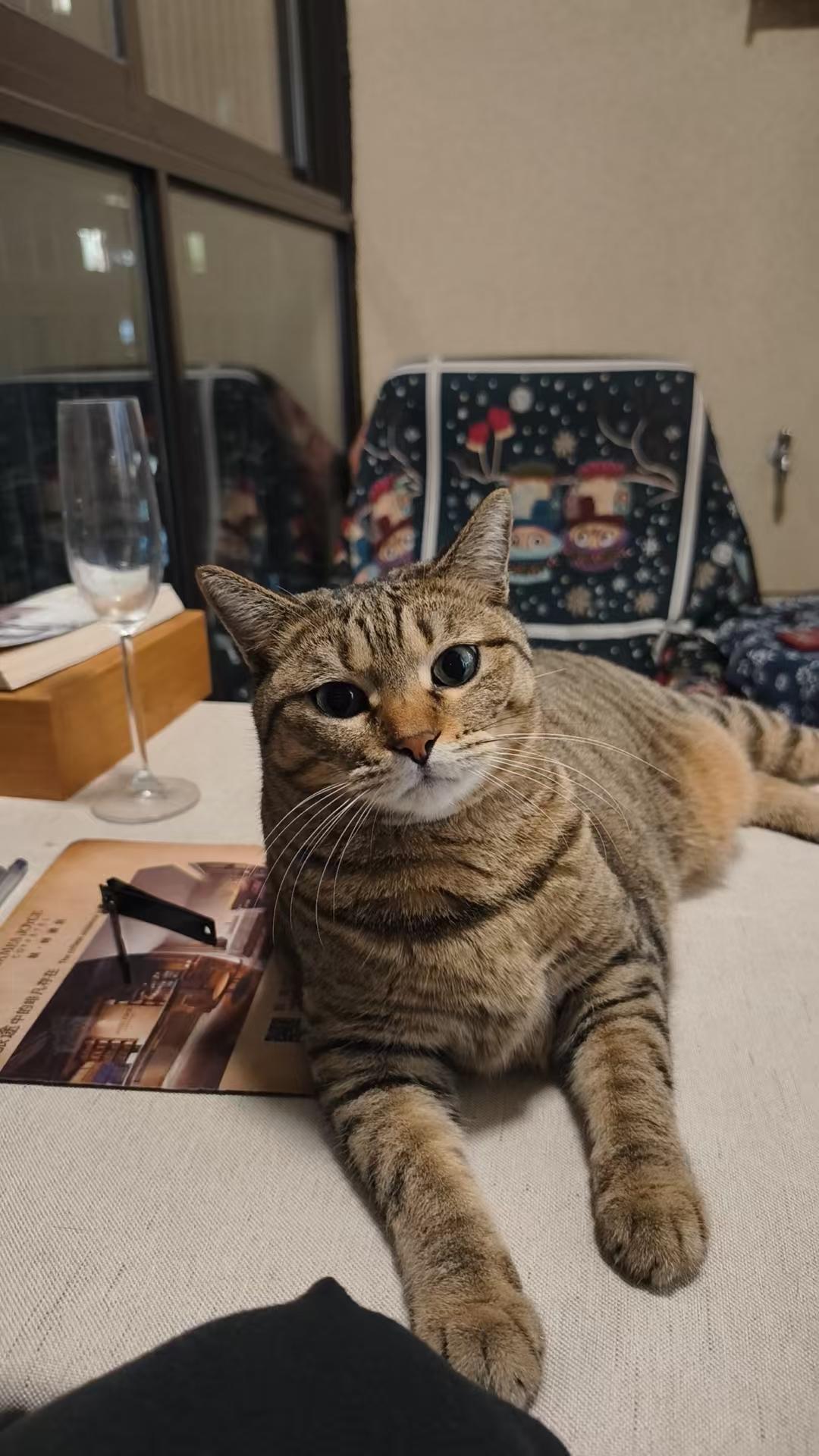 很多人劝你
别躺、要努力、要奋斗，
本质不是为你好，
是怕你不卷了，
他们就没得