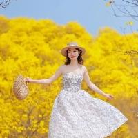 我的今日状态：😁轻松愉快
我这里的天气：☀️晴天