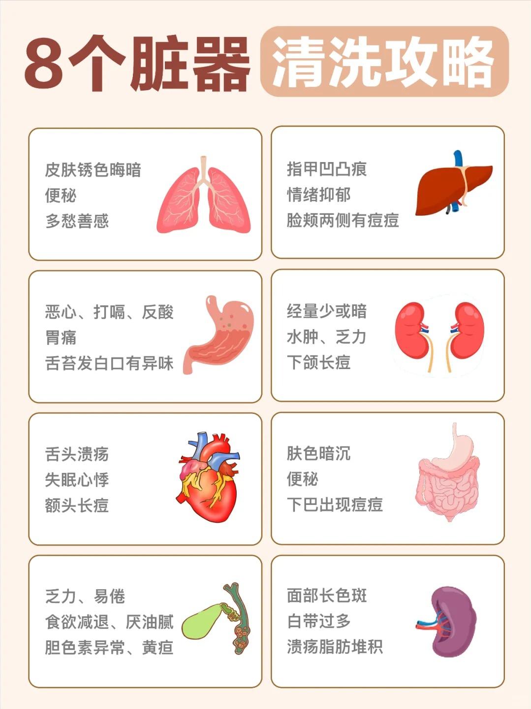 8个脏器“清洗”指南｜记住这些小窍门！