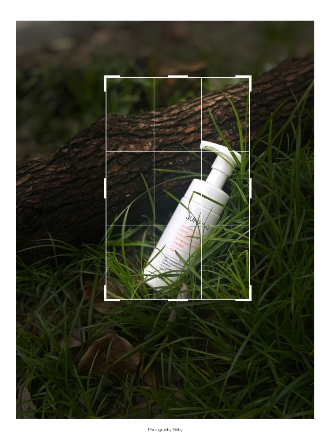 手机只要用这招楼下草坪都可直出电影感海报