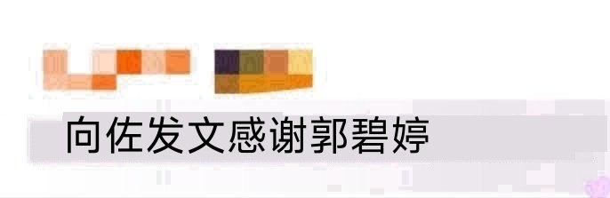 向佐发文感谢郭碧婷起猛了，向佐微博发文艾特郭碧婷，感谢她在自己外出的时候守护着这