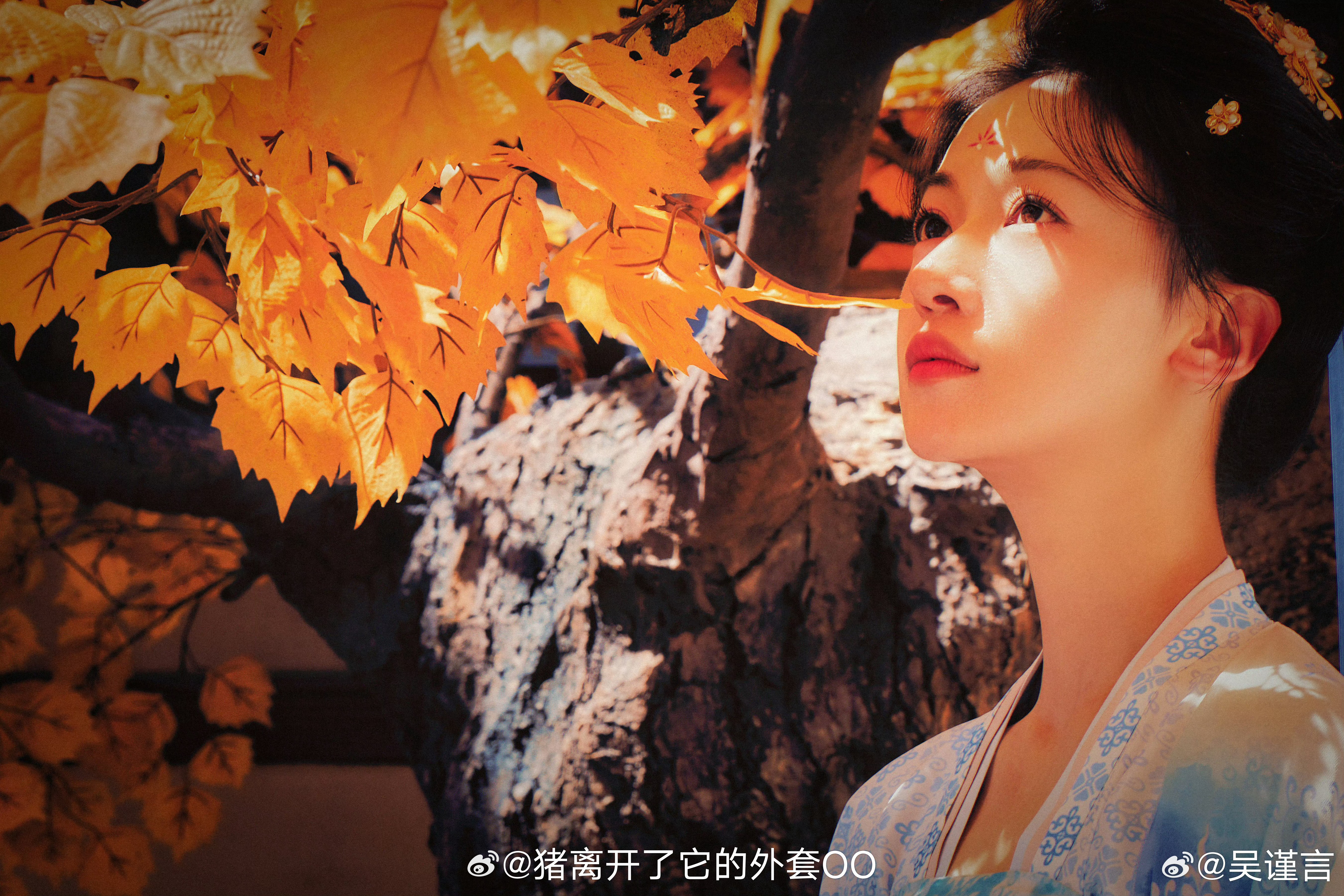 吴谨言《江山为聘》孟廷辉最新花絮图！！[羞嗒嗒][羞嗒嗒] ​​​