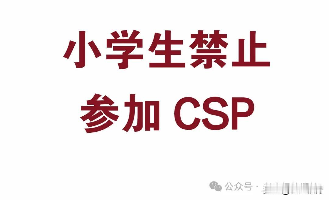 小学生禁止参加csp竞赛啦！小学生信息竞赛的天塌了
老唐探校遛娃 2025年02