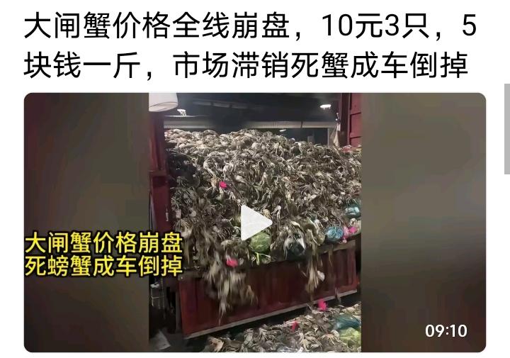中华饮食文化决定了螃蟹成不了气候、猪肉终究要回归核心地位
看到一个“大闸蟹价格崩
