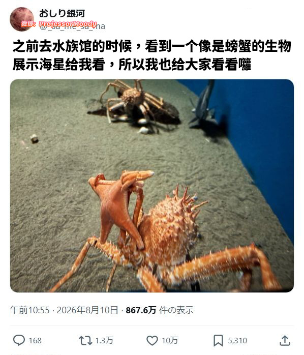 蟹老板：你看，派大星~meme